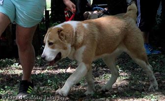 Baltika GTB 5 months