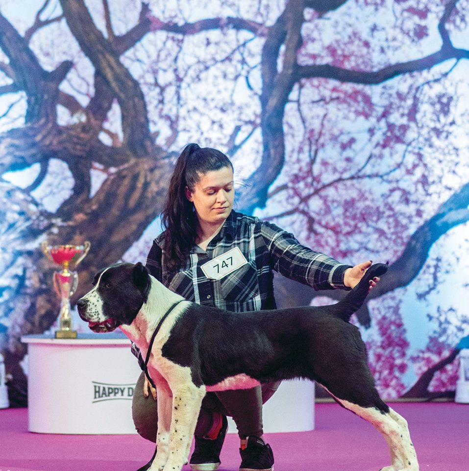 Akemi Kaba-Melek 7 months old